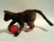 chaton qui joue un ball rouge 004