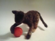 chaton qui joue un ball rouge 009