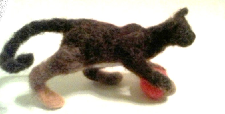 chaton qui joue un ball rouge 012