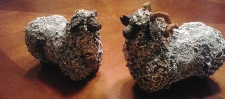 beach walk in hagenville 003