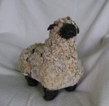 Prototype rugged old 20 year-oldsheep