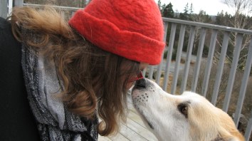 Spike is holding my glasses on for me..