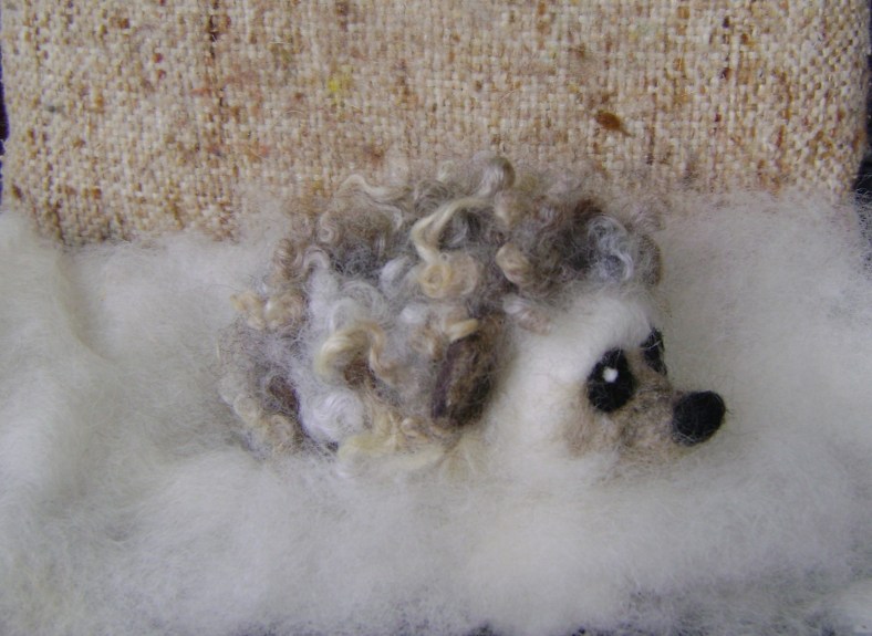 Soft, serene, little hedgehog.