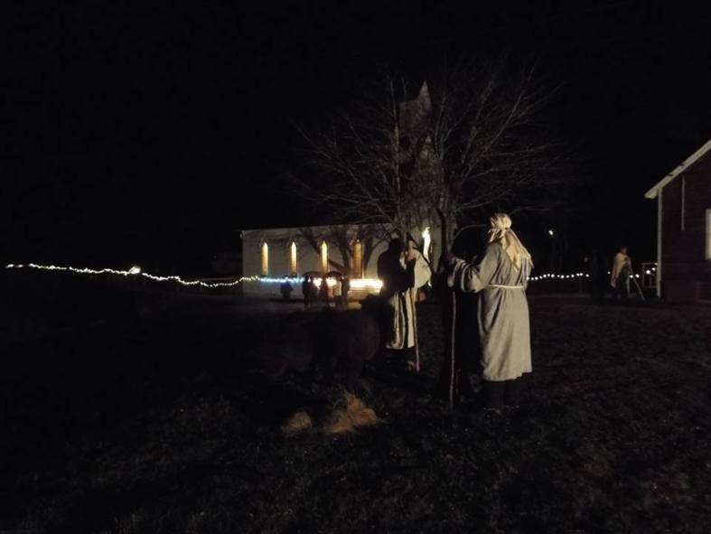 swan1925120257_8332994577632547449_n